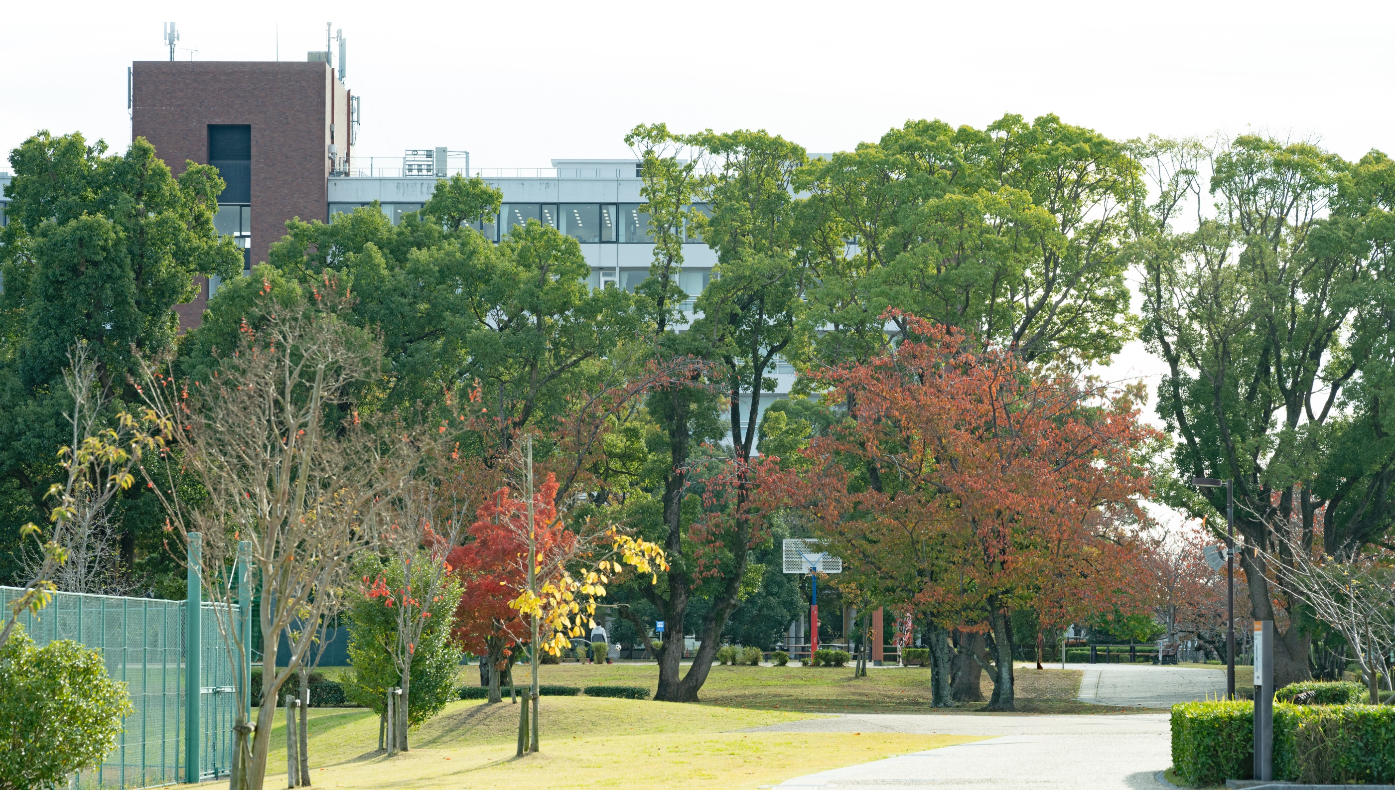 桜の森白子ホーム